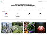 Pépinière d'aromatiques et de plantes pour jardins secs